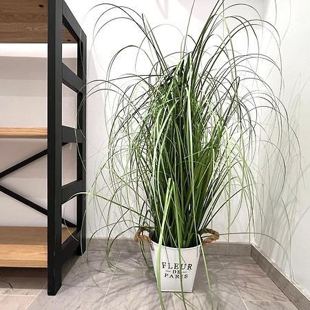Modern, Smart And In The Heart Of The City Vienne Extérieur photo
